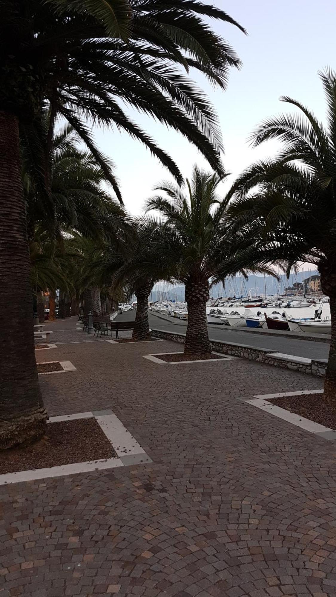 La Stanzetta Dei Rosa Apartment Porto Venere Bagian luar foto